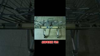 이해하면 무서운 사진
