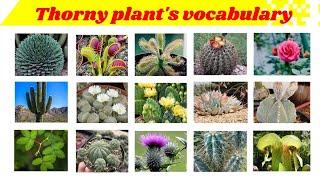 Thorny plant's name | name of thorny plants | Eng mix world