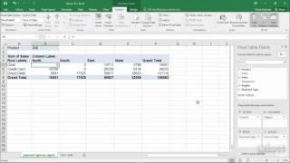 Filters - Excel 2016 Pivot Table