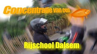 Concentratie van een GOUDVIS!, niet echt handig op de motor! AVD motorrijles Zwolle