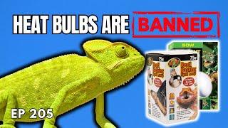 Understanding The Reptile Heat Bulb Ban