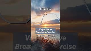 Vagus Nerve Breathing Exercise (4-4-6-2)