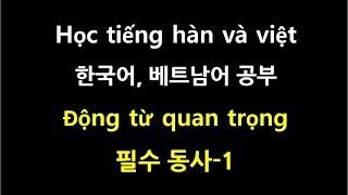 [베트남어 단어 공부] 필수동사_1편