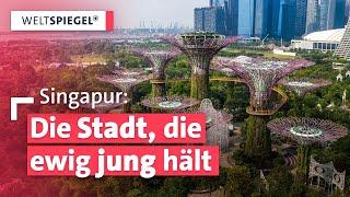 Was ist das Geheimnis für ein langes Leben? I Weltspiegel