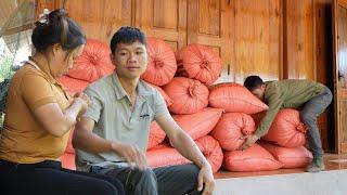 Help grandparents harvest rice from the high mountains, All help cook lunch to sit together