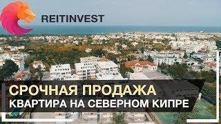  Северный Кипр, недвижимость | Купить Квартиру в Кирении - Срочная продажа!
