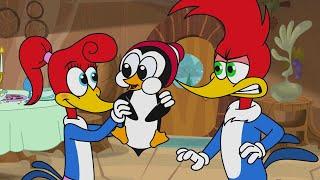 Woody's Penguin Problem | 1 Hour of Woody Woodpecker Full Episodes