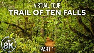 Virtual Hike 360° VR - Forest Walk along the Trail of Ten Falls - 8K Virtual Relaxation - Part 1