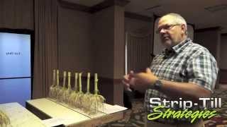 Reints   Fertilizer  Comparing Broadcast to Banded Application
