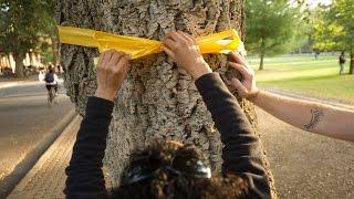 Ribbons for Our Veterans Near and Far