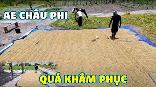 Anh Em Châu Phi Phải Thốt Lên Khâm Phục Việt Nam Vì Gian Nan Khi Làm Ra Hạt Gạo!