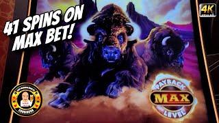 41 Spins on MAX BET on Buffalo Max Slot Machine