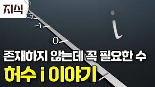 ‘쓸모없다’는 냉대를 받았던 허수 i. 수의 영역을 확장한 상상 #역사 #EBS지식