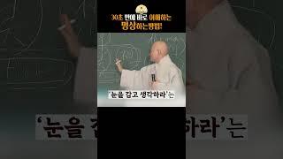 명상은 이런것 ! 30초안에 알려드립니다#선명상#진우스님#법문