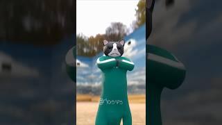 POV: The cat has 9 lives