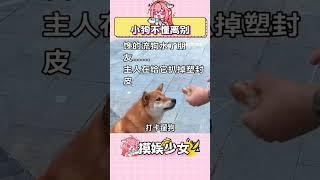 小狗只知道有一天突然等不到你了 #小狗 #感動 #柴犬 #上班搭子