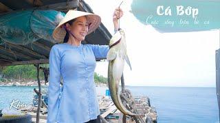 Cuộc sống trên bè cá, đặc sản Cá Bớp - Khói Lam Chiều # 98 | How to catch cobia fish