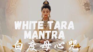White Tara Mantra | 白度母心咒 | Body & Mind Healing for Long Life &Health | 身心疗愈, 长寿健康 | Meditation 冥想