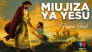 The Story Book: Ukweli wa Maajabu Ya Miujiza Ya Yesu ! (All Jesus Miracles in Swahili)