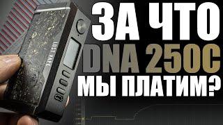 НА ЧТО СПОСОБНА И ТАК ЛИ ХОРОША DNA?▲▼ЗАМЕР И ФУНКЦИОНАЛ DNA 250C на примере LV CENTAURUS