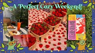 A Perfect Cozy Weekend!! Zelda, garage sales, farmers market and books!!
