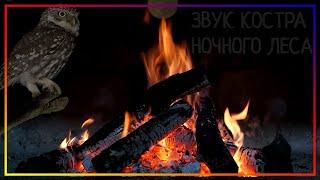 Sound of a Night Forest, Crackling Fire (Nature Fireplace) | Sounds of night animals