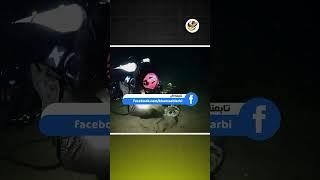 السفينة اللغز.. البحر يعلن أغرب اسرار  العالم الخفي!
