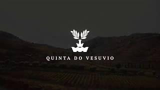 Quinta do Vesuvio