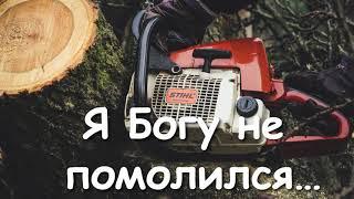 ПРИМЕР ДЛЯ ПОДРАЖАНИЯ! КАК БОГ СПРАВИЛ БЕНЗОПИЛУ!