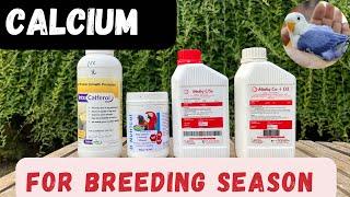 Calcium for lovebirds in Breeding Season || kkAsad