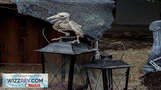 Raven Skeleton Bird Creepy Decoration Review
