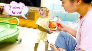 Monkey Pupu took the cake without asking his Mom permission.