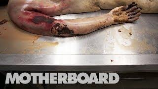 Reviving Dead Bodies in Mexico (Trailer)