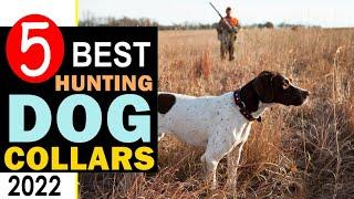 Best Hunting Dog Collars 2023-2024  Top 5 Best Dog Collar Reviews