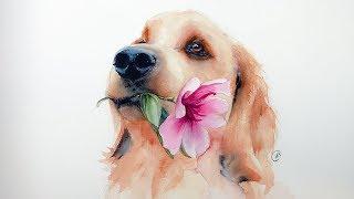 How to Paint a Golden Retriever in Watercolors