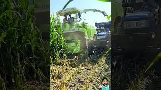  #fodder #harvesting  #maize #crop #machine #agriculture #tractor #dairyfarm #shorts