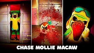 Chase Scene Mollie Macaw - Indigo Park: Chapter 1