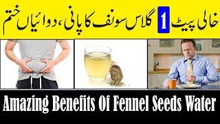 What Happens To Your Body When You Drink Fennel Seeds Water On An Empty Stomach