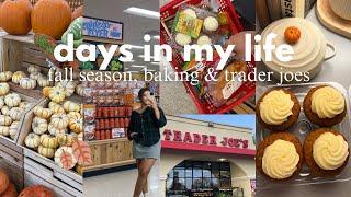 FALL VLOG  the start of cozy days, fall Trader Joe’s haul, cook with me