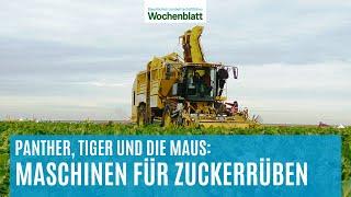 Panther, Tiger und Maus: Die Landmaschinen zum Roden | ROPA Maschinenbau