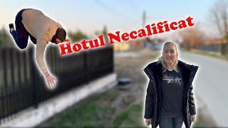 Hoțul Necalificat @iarinamateescu