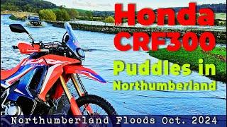 Honda CRF300 Rally  : Puddles in Northumberland / October 2024 Floods