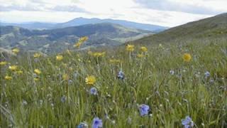 Marin County Parks and Open Space