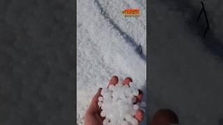 پدیده عجیب