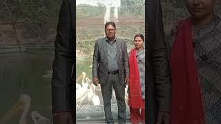 #youtube short#prabhakar youtube short #pushpa 123