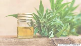 Is Charlottes Web Hemp Extract Cbd Oil - How Charlotte's Web Creates A High-Quality Hemp Extract