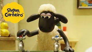 A aranha Shaun, o Carneiro [Shaun the Sheep]  Episódio Completo | Cartoons Para Crianças