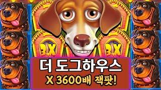 슬롯머신도그하우스[오리지널]슈퍼 빅윈!THE DOG HOUSE SLOT  MEGA JACKPOT BIG WIN BONUS