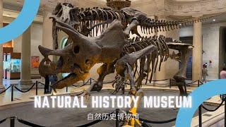 【周末去哪玩】Natural History Museum自然历史博物馆