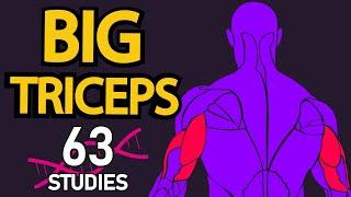 The ULTIMATE Guide to Building Triceps (63 Studies)